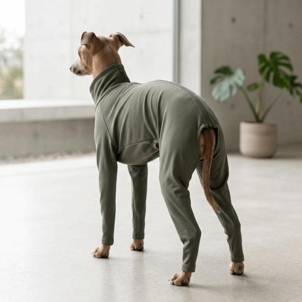 Breathable Dog Recovery Suit Elastic Full Coverage Dog Clothes Dog Anti-shedding Suit Daily Wear