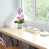 3 Heads Artificial Orchid Flower Advanced Fake Phalaenopsis Bonsai  Party Decor