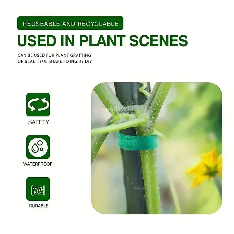 Самоклеящиеся нейлоновые стяжки для растений Садовый шпагат Бинт для растений Крючок-петля Виноградная обертка Поддерживающая лента Садовые крепежные полоски Кабельная стяжка