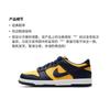 Nike Dunk Low Michigan 2021/2024 GS CW1590-700