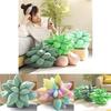 Charming Succulent Plant Stuffed Toys With Realistic Expressions For Kids Gifts