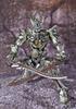 TAMASHII NATIONS Makai Movable Silver Fang Knight Zero