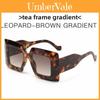 Womens Fashion Oversized Square Sunglasses With Uv400 Protection And Pc Lens For Outdoor Activities