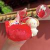 Adorable Jinnew Fun Fruit Stretching Small Animal Plush Pendant Keychain