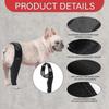 Dog Knee Brace Dog Leg Brace For Torn Acl Hind Leg Dog Hip Support Brace, Adjustable Rear Leg Braces For Dogs, Pet Knee Brace