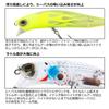 Daiwa Morethan Crosswake R A Grikin 111F-SSR