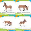 Wild Animal Pvc Model Collection For Kids Learning And Home Display