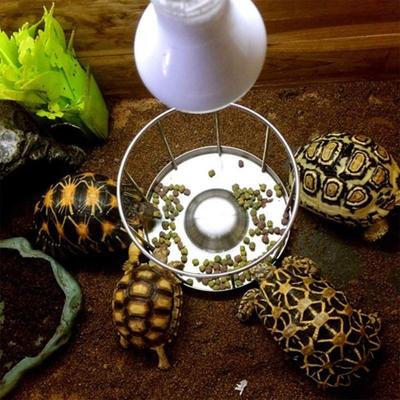 Wear Resistant Turtle Stainless Steel Feeder Fence Design Reptile Feeder Bowl Reptiles