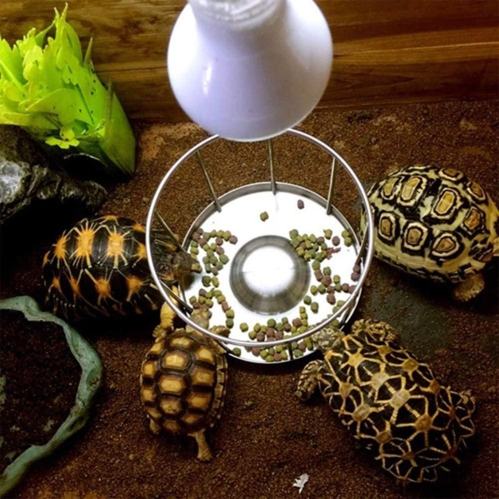 Wear Resistant Turtle Stainless Steel Feeder Fence Design Reptile Feeder Bowl Reptiles