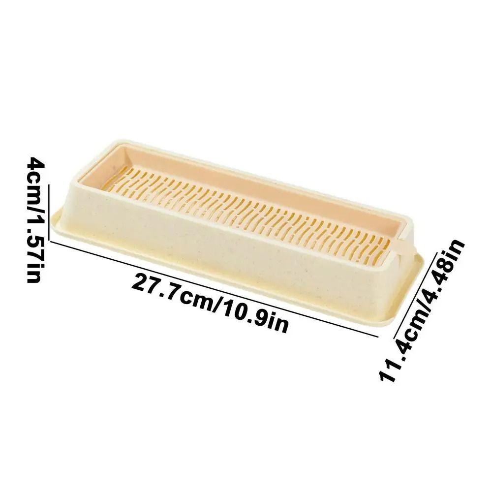 4 Styles Catgrass Planting Bowls Hydroponic Nursery Tray Cat Grass Growing Kit  Veterinary
