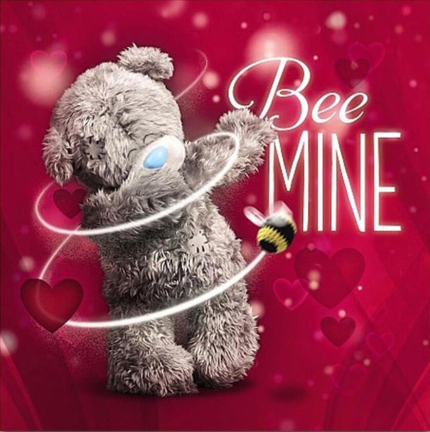 5D алмазная живопись плюшевый мишка полный алмаз животное круглый алмаз мозаика узор украшение дома Diy ручной работы