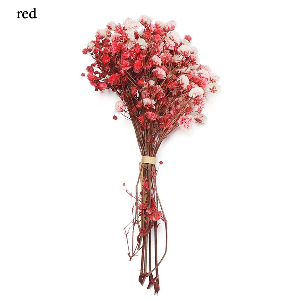 Натуральные Материалы Домашний Декор Живые Цветы Мини Гипсофила Натуральные Сушеные Букеты Растительные Стебли