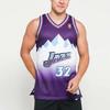 Mitchell & Ness Юта Джаз Выездная 1996 97 Карл Мэлоун Swingman Джерси SMJYGS18216-UJAPURP96KMA