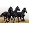 Dark Horse 5D Diamond Craft Painting Diy Diamond Вышивка Diamond Kits Wall Art Decor