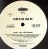 12inch Record UNCLE SAM - Baby You Are EAS41318PROMO Epic 1997 US Rap & Hip-Hop/R&B Used