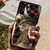 Для ZTE nubia Music Case Z2353 Роскошный Расписной Силиконовый Задний Чехол для Телефона Для Nubia Music Z2353 Чехлы Полностью Защитный Корпус Capas