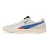 Кроссовки Clyde TM Unisex Grey Glacial-Grey Royal-Sapphire 392140-01