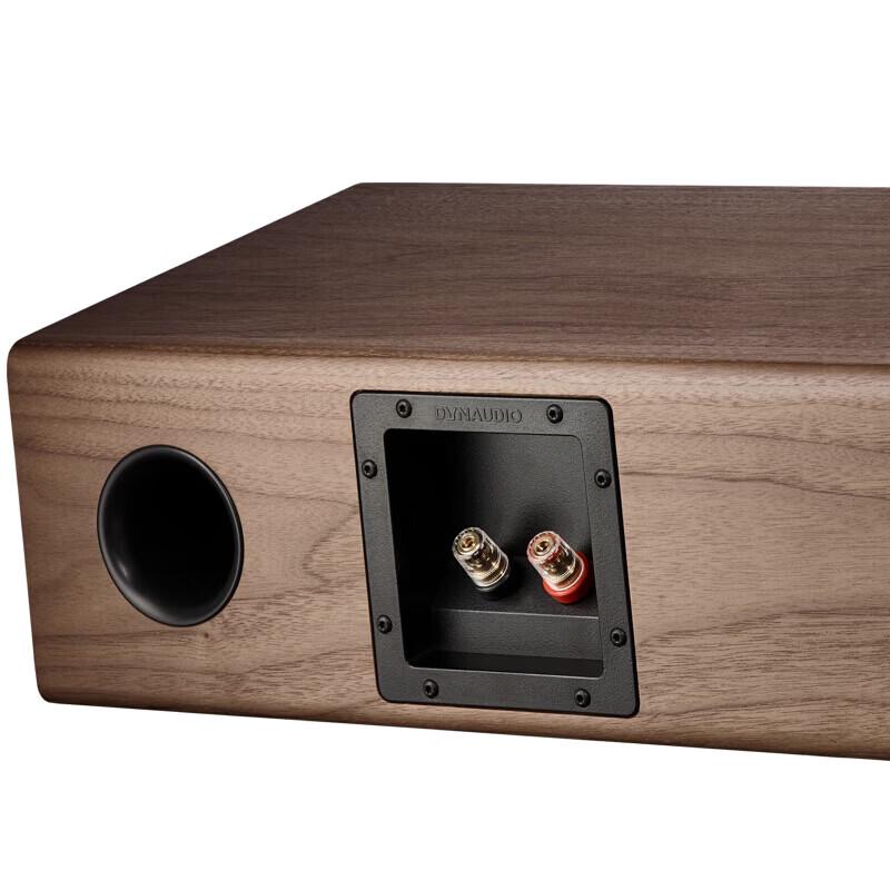 Dynaudio Evoke 25 Hi-Fi Passive Center Speaker (CN version)