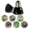 Material Keeping Warm Far Infrared Black Reptile Lamp Pet Warmer Bulb Heating Lamp Pet Brooder