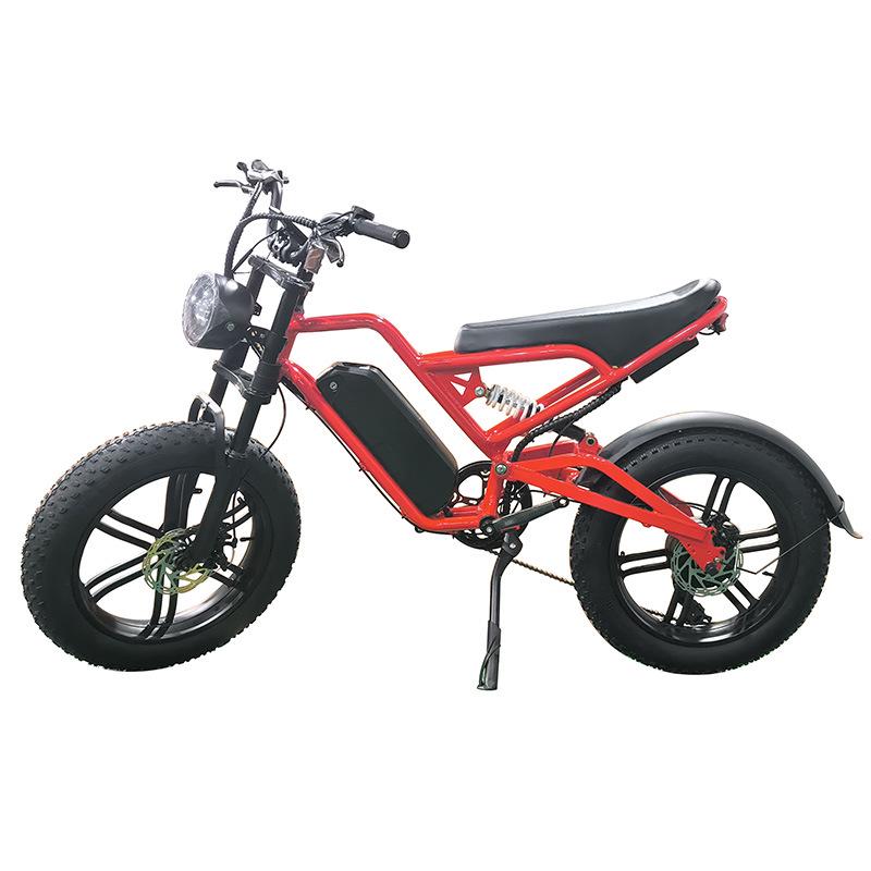 Cross 20-Inch 48V 500W Snow Style Electric Mountain Bike