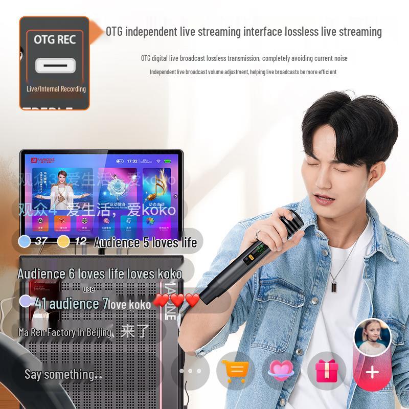 MALONE Portable KTV All-in-One Entertainment System with Screen (CN version)