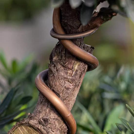 Алюминиевая проволока для тренировки бонсай 2,0 мм Алюминиевая проволока с покрытием 16 футов/33 фута Проволока для бонсай для тонкого контроля ствола и ветвей