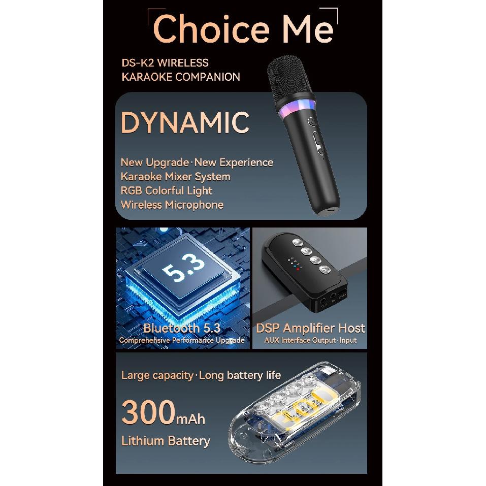 Wireless Car Microphone With Receiver Karaoke Companion 3.5MM AUX Stereo HIFI RGB Colorful Light Multi Sound Effect Mixer System
