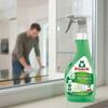 Frosch Bio Spirit Window Cleaner Effective Streak-Free Cleaning 500ml