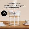 Dreamzy 2L Cool Mist Humidifier With Night Light For Bedroom Office