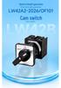Zhuochao LW42A2-2026/OF101 Dual-Section Tri-Position Single-Hole Universal Cam Switch