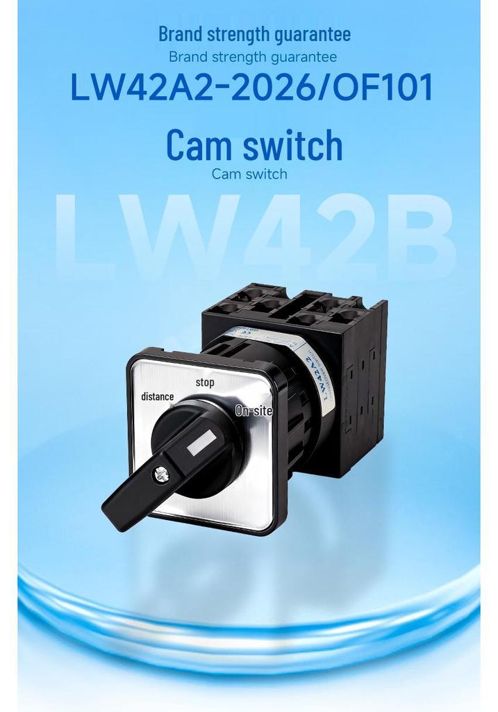 Zhuochao LW42A2-2026/OF101 Dual-Section Tri-Position Single-Hole Universal Cam Switch