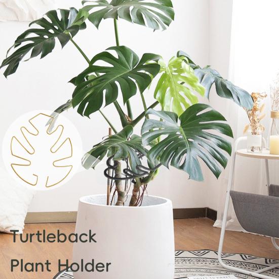 Plant Stem Support Metal Monstera Clamp Plant Support Plant Stem Holder Monstera Stabilizer Grapple Holder for Climbing Plants