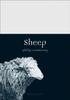 Книга Sheep