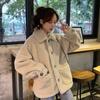 Lamb Wool Coat Women's Spring and Autumn New Korean Style Loose Grain Velvet Student Thickened Short Cotton Coat