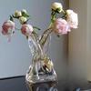 Creative Irregular Transparent Glass Hydroponic Vase
