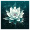 5d DIY Diamond Painting Cross Stitch White Lotus Diamond Embroidery Mosaic Full Round Drill Home Decor Arts