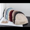 Autumn Winter Woolen Hat Women Korean Chic Wool Blend Knit Hats Ear Protection Warm Pullover Cold Hat Couple
