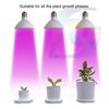 Phyto Led B22 Hydroponic Growth Light E27 Led Grow Bulb MR16 Full Spectrum 220V UV Lamp Plant E14 Flower Seedling Fitolamp GU10