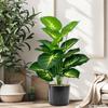 Искусственное зеленое растение в горшке, искусственное зеленое растение для помещений, напольное поддельное растение в горшке для домашнего офиса, коммерческих помещений