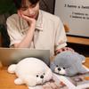 Soft Prone Seal Plush Doll Mochi Stuffed Animal Toy Plush Seal Sleep Pillow  Home Decor