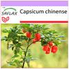 Chili - Habanero Antilles Red - 10 Seeds - Capsicum Chinense