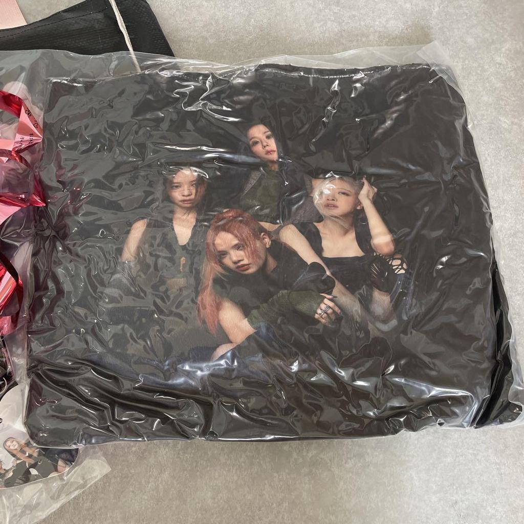 [USED] BLACKPINK BORNPINK Premium Seat Limited Goods + Silver Tape