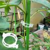 Secured Plastic Plant Clips Plant Vine Fixing Clips Smooth Edge Buckle Design Garden Plant Support Clips Accessories