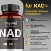 Premium Supplements NAD+ Resveratrol support cellular energy, anti-aging, antioxidant effects, and promote cardiovascular health.
