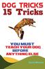 Книга Dog Tricks : 15 Tricks You Must Teach Your Dog Before Anything Else