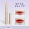 Multifunctional Soft Bristle Lip Brush With Cap Concealer Brush
