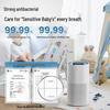 Midea Little Blue Whale 600 Fog-Free Humidifier SZ-2Y50 CN plug (adapter included)