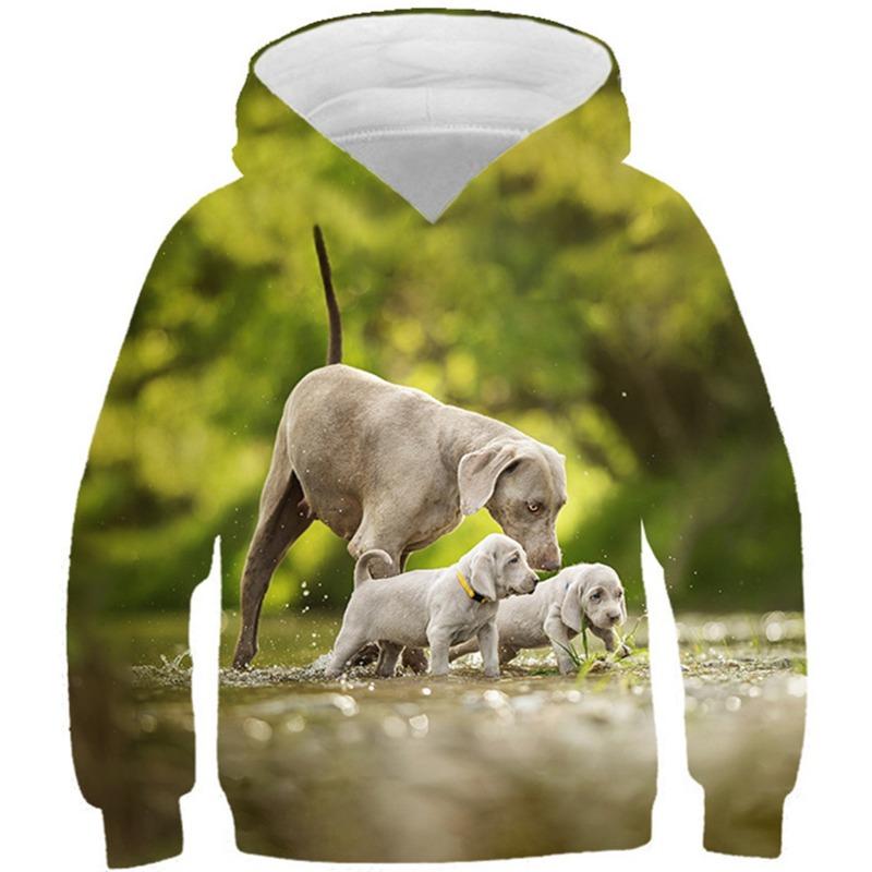 Осенние толстовки с 3D-принтом в виде животных, модные повседневные спортивные толстовки с длинным рукавом для детей и мальчиков