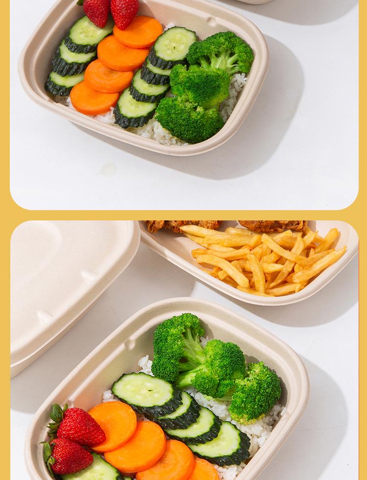 Eco-friendly Three-Compartment Disposable Bento Box – Microwaveable Paper Lunch Container for Salads and Light Meals