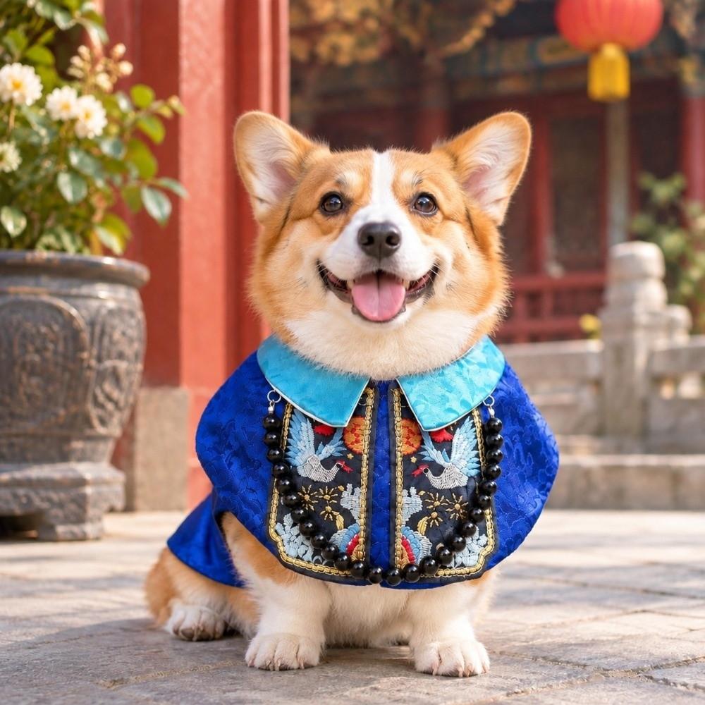 Decorative Dog Clothes Funny Pet Zombie Clothes Pet Supplies Halloween Dog Clothes Halloween